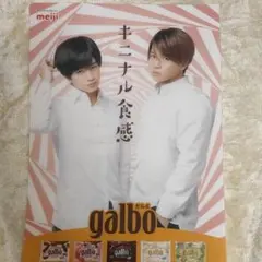 中島健人 菊池風磨 ガルボ 非売品クリアファイル① 新品未使用 ふまけん