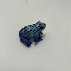ヤドクガエル ガチャガチャ いきもの大図鑑 青