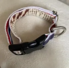 犬　首輪のサムネイル