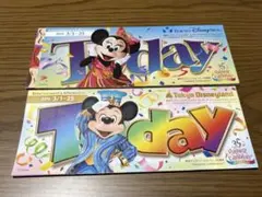 Today 35周年グランドフィナーレ ミッキー・ミニー