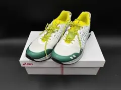 限定　アシックス30周年記念モデル GEL LYTE 3 27cm アシックスの名作「GEL-LYTE Ⅲ」発売30周年を飾る「GEL-LYTE