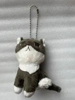 2026年最新】ねこたりあの人気アイテム - メルカリ