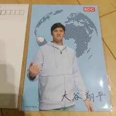 他商品と同梱で100円にします！大谷 翔平 ポストカード2枚