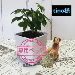 Item thumbnail for item 3b83c4b4-8ec6-4539-bb15-9d1ccb4bbe6b