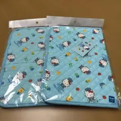 Item thumbnail for item 42f5f126-9315-4209-83b9-436586fb0ca3