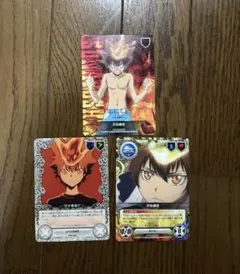 家庭教師ヒットマンREBORN リボーン　沢田綱吉　ツナ　カード　CCG