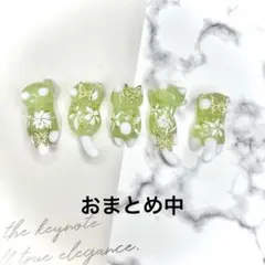 抹茶　お花　蝶々　猫　5個セット