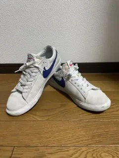 最終値下げ‼️NIKE SB ZOOM BLAZER low QS polar