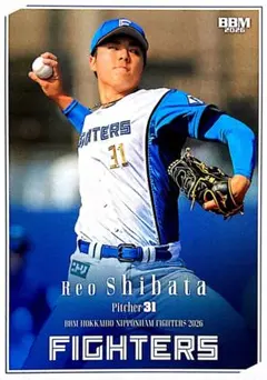 北海道日本ハムファイターズ柴田獅子プロ初登板観戦証明書。 ファイターズ 】 柴田獅子 プロ初登板観戦証明書 - メルカリ