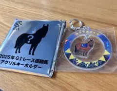 JRA 2025年GIレース優勝馬キーホルダー - メルカリ