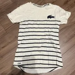 ラコステ　ボーダー半袖Tシャツ