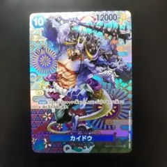 ワンピースカード カイドウ SP SR ST04-003 手配書 - メルカリ