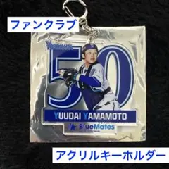 Item thumbnail for item 918e170c-b44d-4cf9-835a-72de8d40a9bd