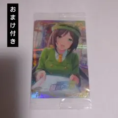 ウマ娘 ツインウエハース 第2R SSR 駿川たづな