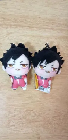 ハイキュー　ちょぴぬいぷち　黒尾鉄朗