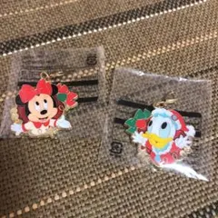 東京ディズニーランド チャーム