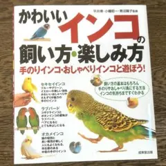 かわいいインコの飼い方・楽しみ方