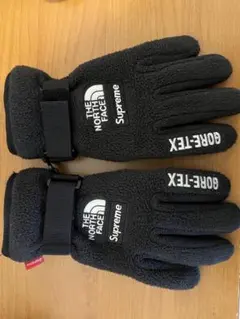 2025年最新】north face supreme 手袋の人気アイテム - メルカリ