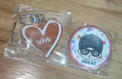 EXILE 世界 ラメネームキーホルダー 缶バッジ