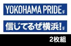 横浜DeNAベイスターズ　大声援タオル