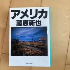 アメリカ