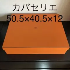 Item thumbnail for item 4e3cde0a-fe9c-46d6-8bed-f831bb0d54b5