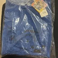 UNIQLO ポケモンマスターズEX UT オーバーサイズ　Ｍ　ブルー