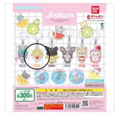 JO1 JOCHUM めじるしアクセサリー2＜もこ＞