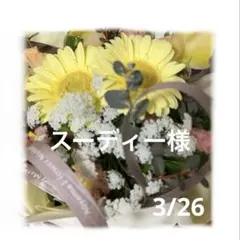 当時物）shinseisya/ギャルズアイランド非売含むフルコンプ - メルカリ