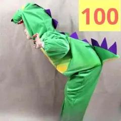 着ぐるみ 恐竜 キッズ♪パーティー ドラゴンのコスプレ衣装♪龍 辰 子供 100