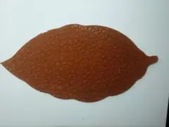 Item thumbnail for item fb996b6f-ec0d-4fb4-9c7b-175a177cd52b