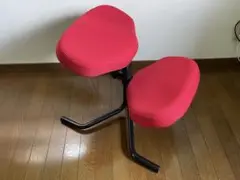 KOKUSHIN 國新産業 バランスチェア ジュニア 姿勢サポート