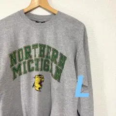 【L】古着　長袖　ロンT カレッジ　秋　グレー