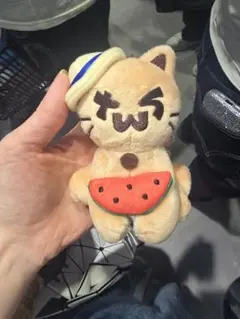 【即購入可】TWS PLUSH KEYRING日焼け トゥニャンイ トゥゴミ TWS SODASODA PLUSH KEYRING日焼けトゥニャンイ - メルカリ