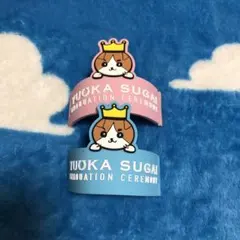 Item thumbnail for item b8648736-3cee-43c0-a945-f9e1bbc5b4f3