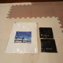 Item thumbnail for item a01bb5e9-5952-48f1-89ac-453ed3a59801