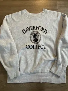 【激レアトリコリバース】フェルトプリント Champion