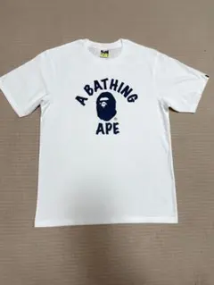 Item thumbnail for item 2bb7368a-3923-41a5-8c7b-41cccf88719d