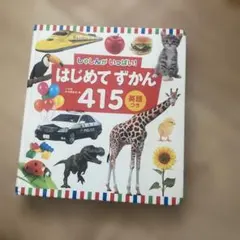 しゃしんがいっぱい！✨はじめて ずかん 415 英語つき✨０歳〜4歳児向け