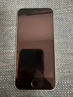 【ジャンク品】iPhone SE 初代 本体のみ 使用不可