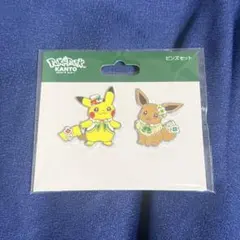 ポケパークカントー ピカチュウ・イーブイ ピンズセット - メルカリ