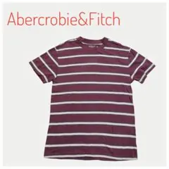 Abercrombie & Fitch ストライプ Tシャツ　アバクロンビー