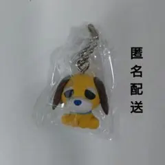 チョコボーロ　お茶犬　ムハ