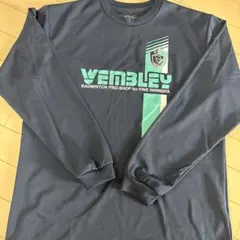 Item thumbnail for item 69e654c3-61ff-40df-b224-52bd4a33e2fa