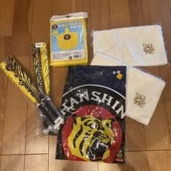 清水エスパルス タオルブランケットステッカー地球儀 記念グッズセット 清水エスパルス タオルブランケットステッカー地球儀 記念グッズセット