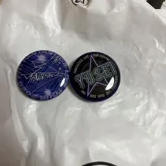 FANTASTICS 八木勇征 サイン缶バッジ ネームバッジ セット FNT