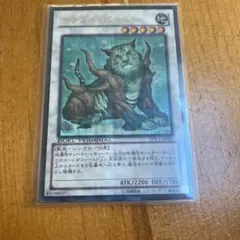 遊戯王 ナチュル・ビースト DTC1-JP082