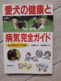 Item thumbnail for item c303b694-b1ef-47cd-9e6e-43d899cbd4f7