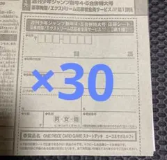 エース&サボ&ルフィ30セット応募用 週刊少年ジャンプ 【新年4•5合併特大号】