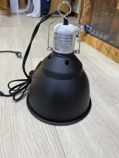 Item thumbnail for item 2387854e-a4f7-49f2-a2d5-6f6e414e18fc